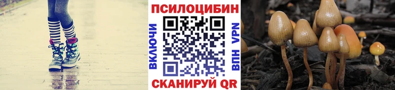 Галлюциногенные грибы Psilocybe  Дубна 