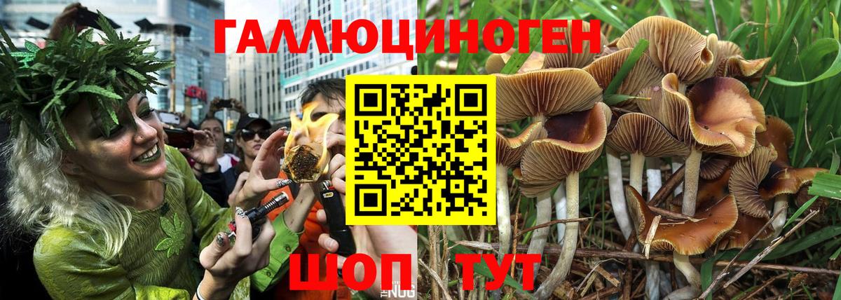 Псилоцибиновые грибы мухоморы Дубна