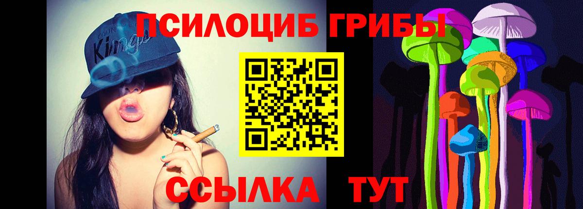 Галлюциногенные грибы Magic Shrooms  Дубна 